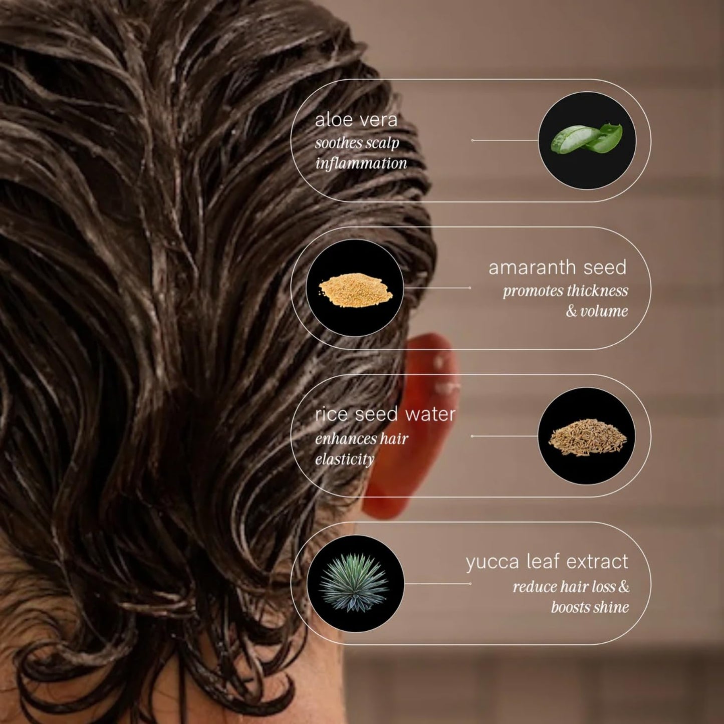 Jack Henry Conditioner – Ultra-Hydrating, Lightweight Formula with Aloe Vera & Radish Oil – Boosts Volume, Smoothness & Scalp Health – Clean, Non-Toxic, Sulfate-Free, Vegan – 13.5oz