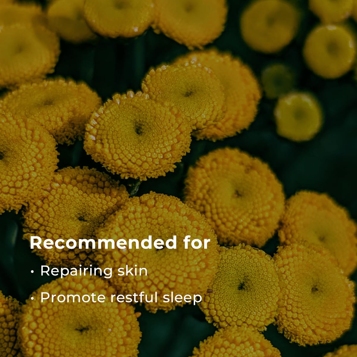 INNA ORGANIC Sheet Mask - Sleep Well Glow, Overnight Renewal, Restful Healing, Sustainable & Clean Beauty (Pack of 5) | Blue Tansy Essential Oils Infused Skin Care | Luxury Clean Beauty