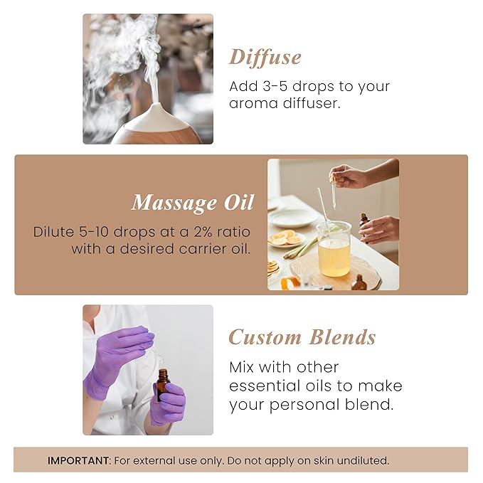 Handcraft Blends Cedarwood Essential Oil - 1 Fl Oz - 100% Pure and Natural - Premium Grade Essential Oil for Diffuser and Aromatherapy