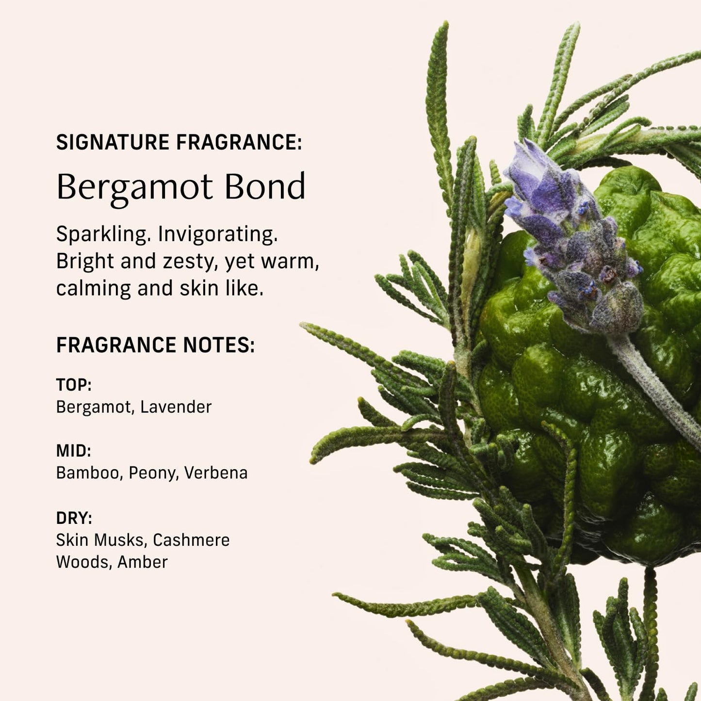 CYKLAR Perfume Oil Roll-On. Travel-Friendly Bergamot Bond Fragrance with Bergamot, Verbena, and Cashmere. Long-Lasting Essential Oil Parfum for Women and Men. 0.5 Fl Oz Scented Rollerball Bottle