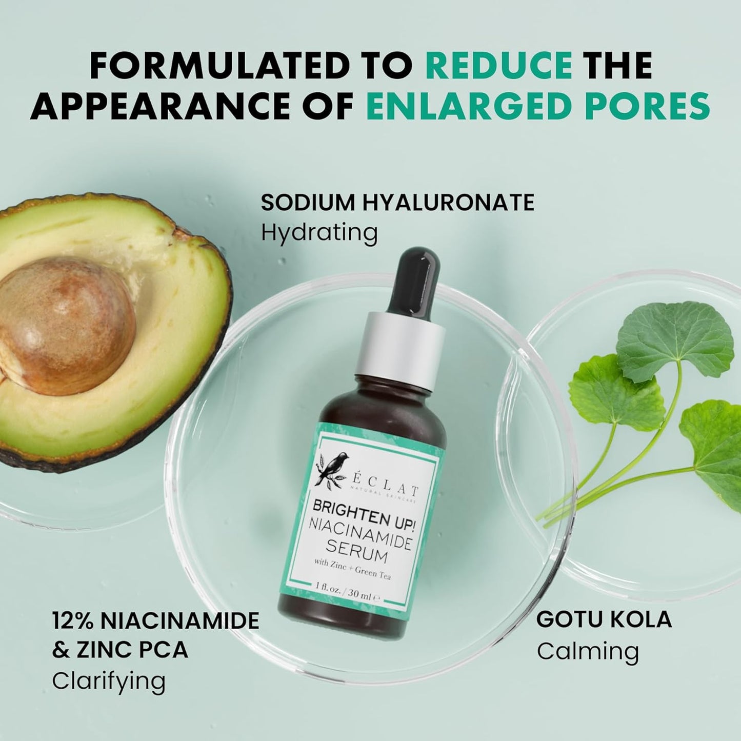 Eclat Skincare Clarifying Niacinamide Serum - 12% Niacinamide with Zinc PCA & Hyaluronic Acid - Hydrating & Soothing Formula - Facial Serum for Minimizing Pores and Improving Skin Texture 1 Fl Oz