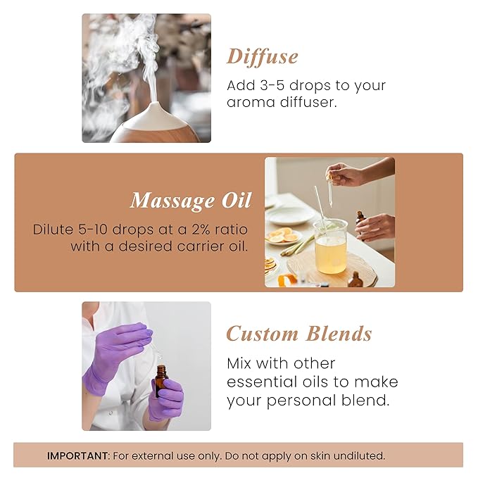 Handcraft Blends Clove Essential Oil - 1 Fl Oz - 100% Pure and Natural - Premium Grade Essential Oil for Diffuser and Aromatherapy