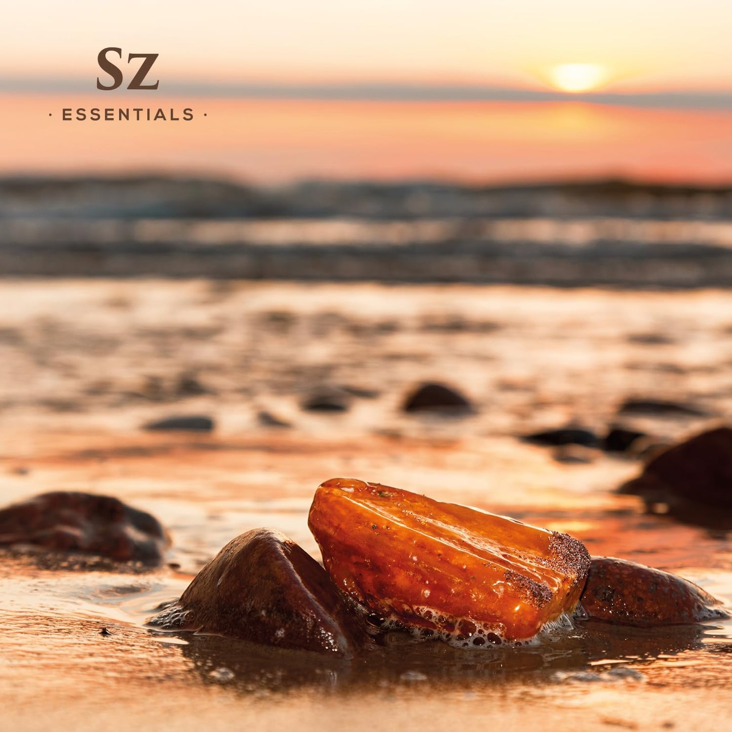 Amber 100% Pure, Essential Undiluted Oil - Extracted from Amber Resin - Rich & Floral Scent, with Smoky Overtones - Therapeutic Grade & Vegan - 0.17oz (5ml)