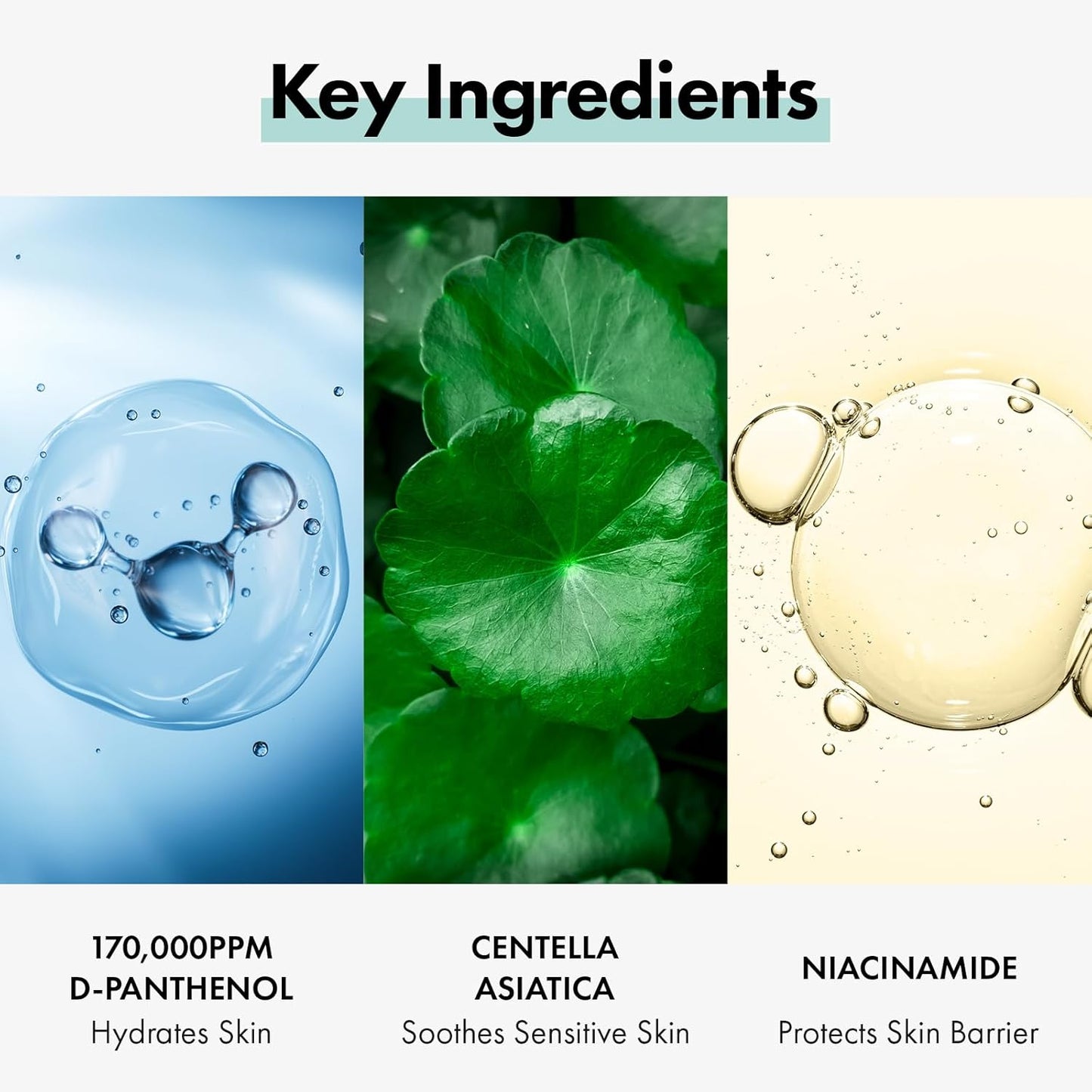 TOSOWOONG Dexpanthenol Cream, 170,000ppm B5 Panthenol, Madecassoside, Centella Asiatica for Skin Barrier Repair, Facial Moisturizer, Soothing, Hydrating, Korean Skincare, 60ml, 2.02 fl. oz.