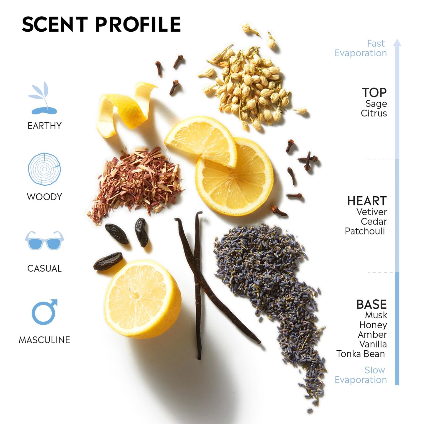 Stetson Original by Scent Beauty - Cologne for Men - Classic, Woody and Masculine Aroma with Fragrance Notes of Citrus, Patchouli, and Tonka Bean - 1.5 Fl Oz