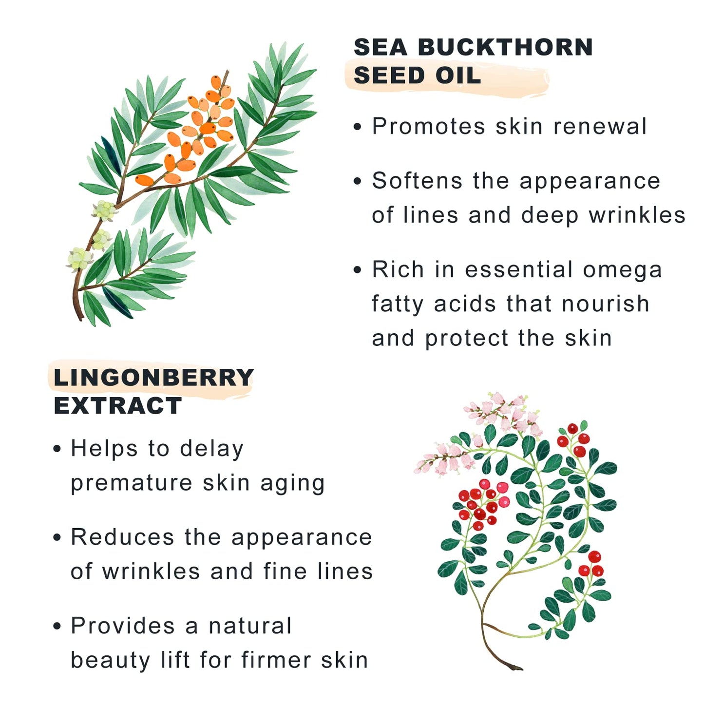 Lumene [Lumo] Nordic Bloom Anti-Wrinkle & Firm Moisturizing V-Shape Face Serum - Hydrating Serum to Help Visibly Reduce Fine Lines + Wrinkles - Infused with Nordic Lingonberry Extract (30 ml)