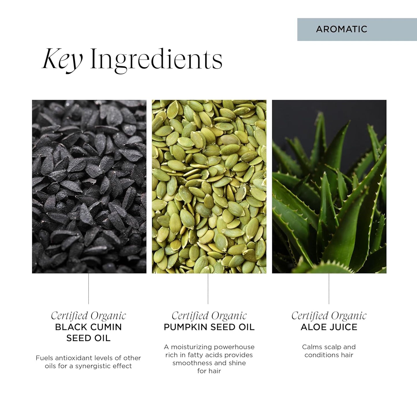 Intelligent Nutrients Amplifi-hair Style & Restyler Spray, Volume Boost and Texture Styling for All Hair Types, Vegan, 5 Oz