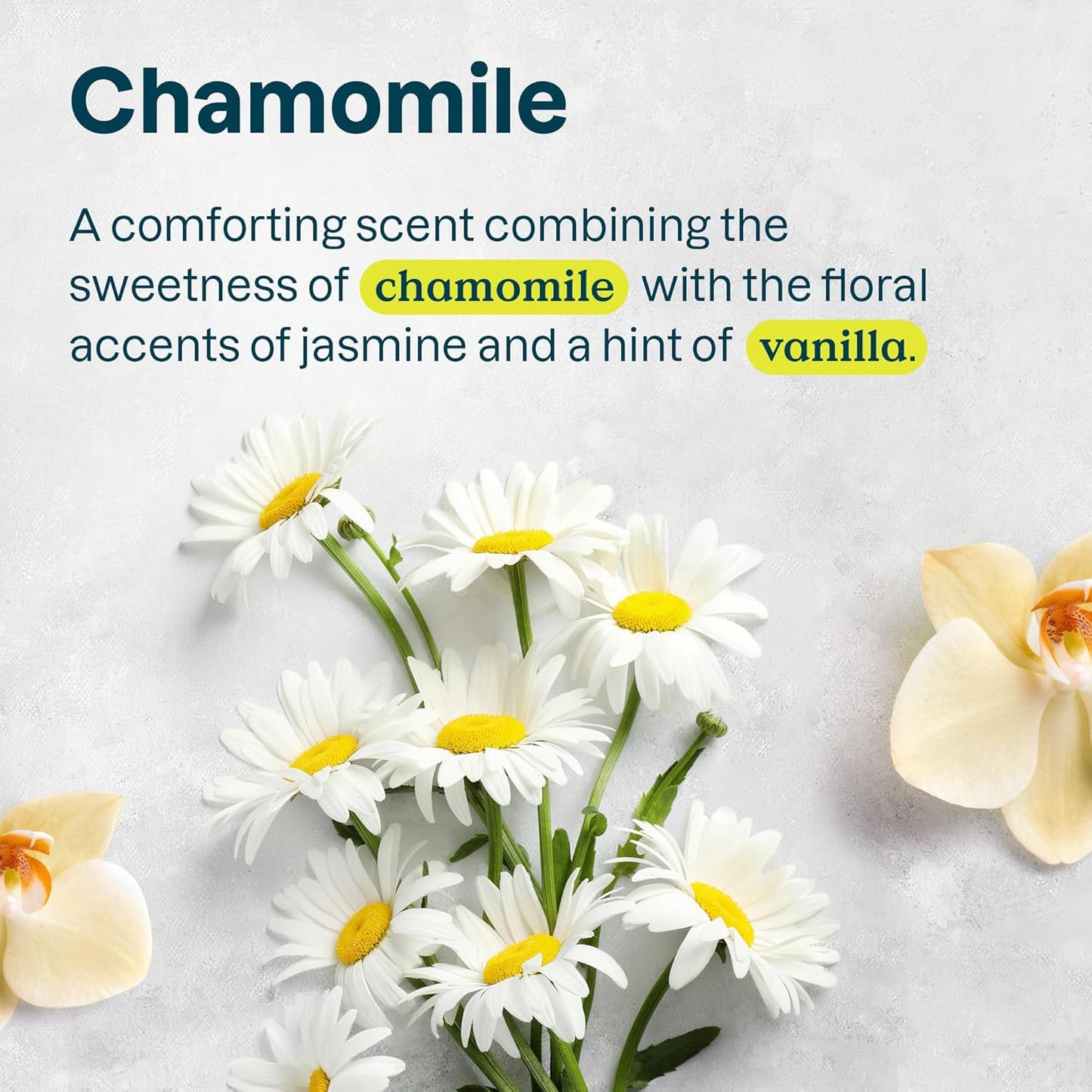 ATTITUDE Hair Conditioner for Sensitive Dry Scalp, For Thin Hair, Soothing Oat, Naturally Derived Ingredients, Dermatologically Tested, Vegan Detangler, Volume and Shine, 8 Fl Oz (Pack of 6)