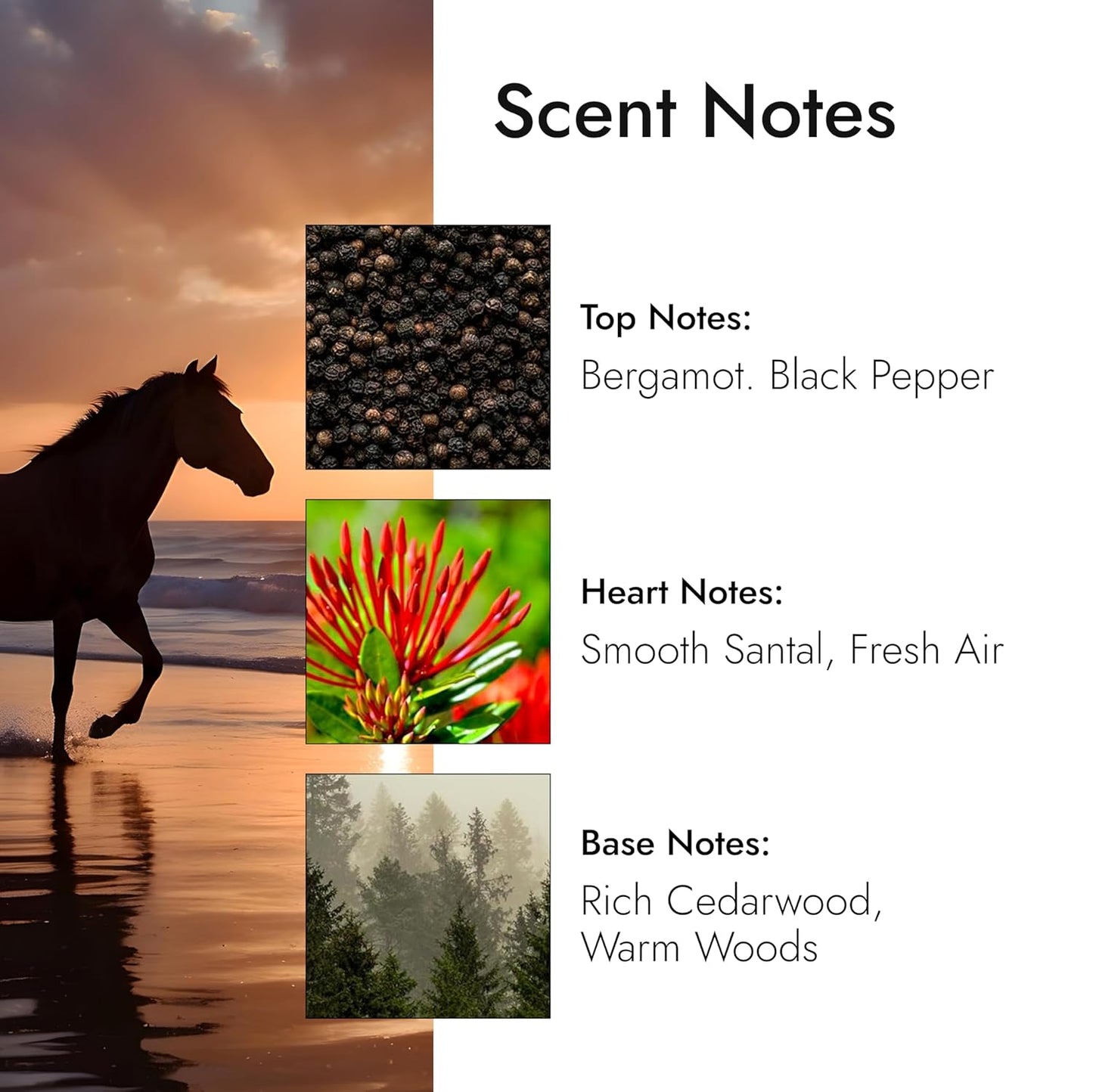 Modern Memory Born Hero Eau de Toilette for Men, 2.5 fl oz - Notes of Bergamot, Black Pepper & Cedarwood