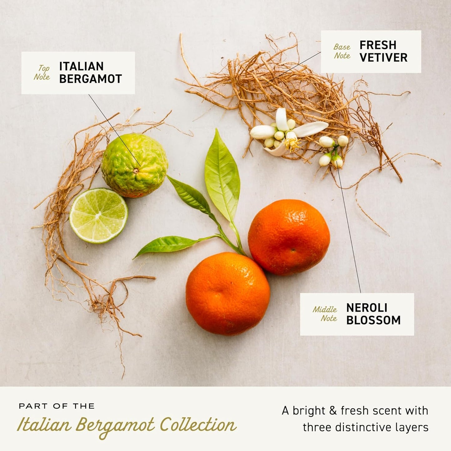 Cremo Cologne For Men - Italian Bergamot Mens Cologne Spray, A Combination of Italian Bergamot, Neroli Blossom, and Fresh Vetiver, Multi-Layered Signature Men's Fragrances, 3.4 Fl Oz