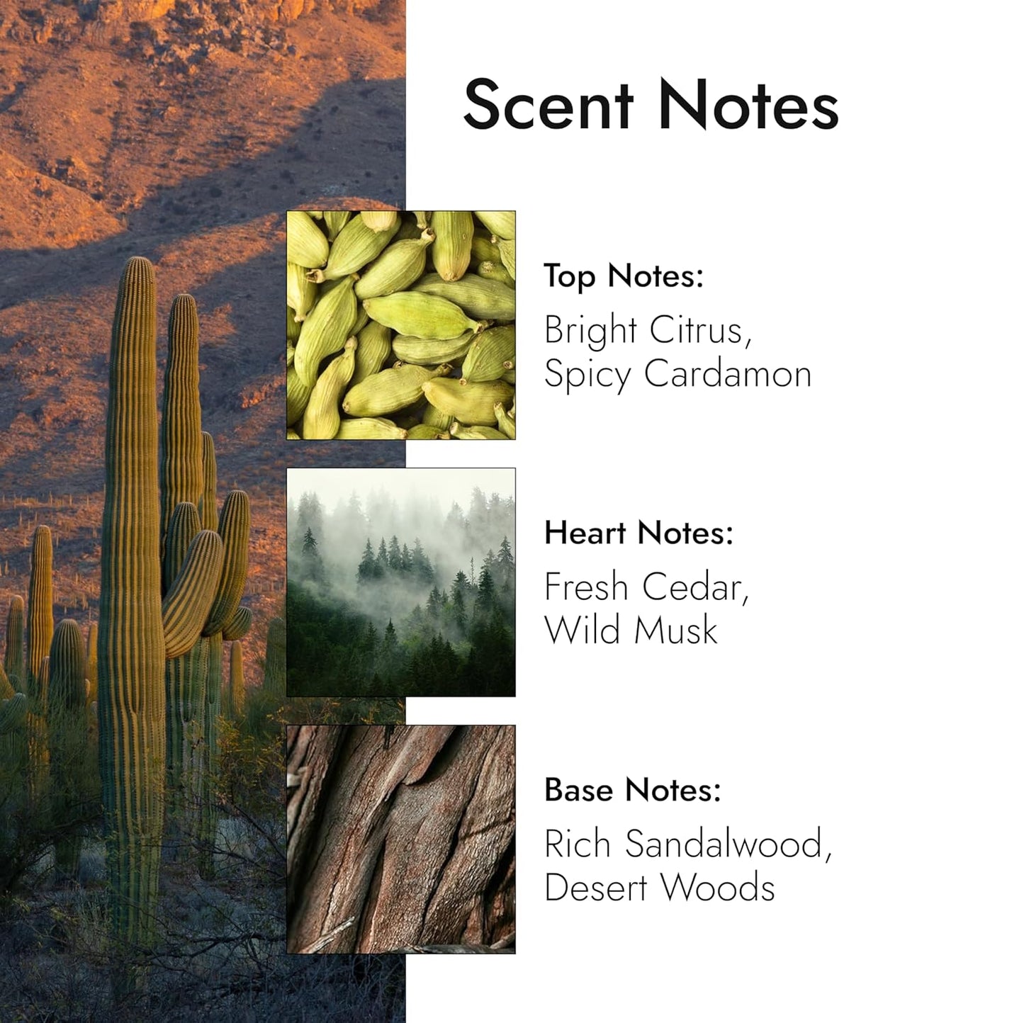 Modern Memory Western Santal Eau de Toilette for Men, 2.5 fl oz - Notes of Spicy Cardamom, Wild Musk & Rich Sandalwood