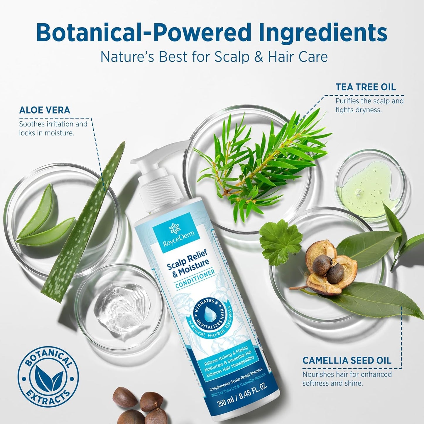 Roycederm Scalp Relief & Moisture Conditioner: Hydrating & Nourishing Formula with Jojoba Oil, Aloe Vera & Camellia Oil, Soothes Dry, Itchy Scalp