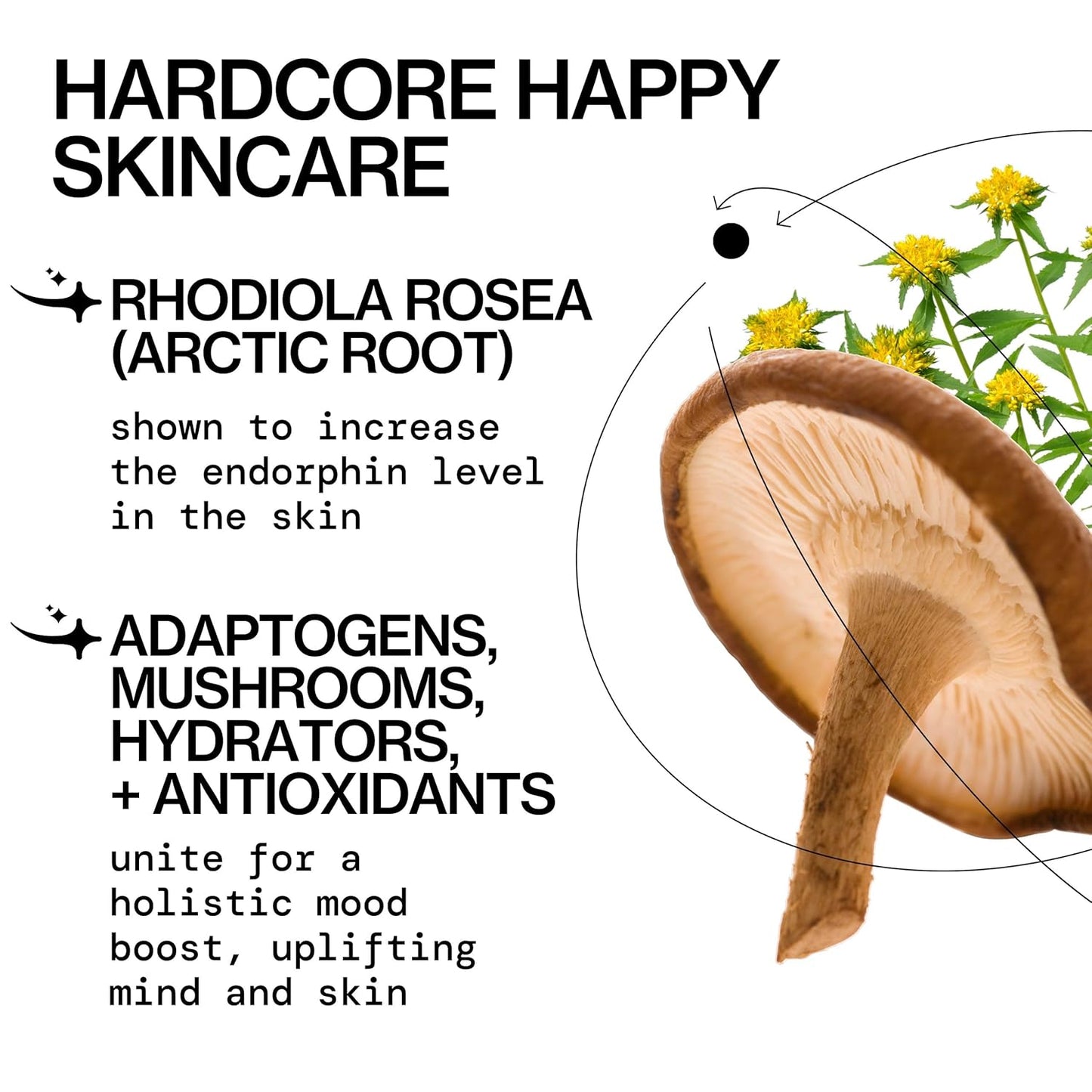 Pacifica Happy Water Hydrating Facial Toner Mist – Vegan Ceramides, Hyaluronic Acid & Electrolytes, Refreshing & Calming for Balanced Skin, Clean Beauty, Vegan, Cruelty-Free, All Skin Types, 4 oz