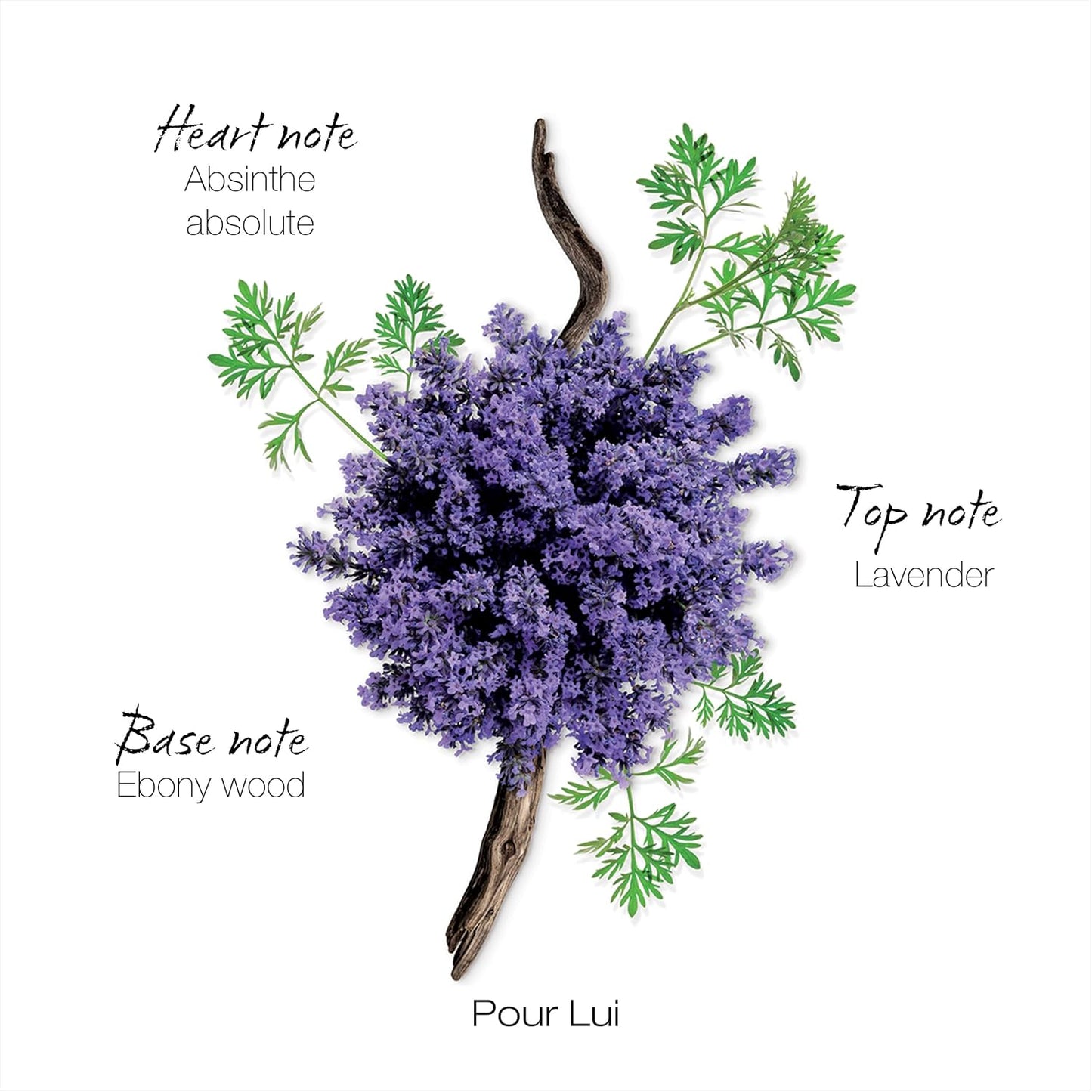 Mauboussin - Pour Lui 100ml (3.3 Fl Oz) - Eau de Parfum for Men - Fern & Modern Scents