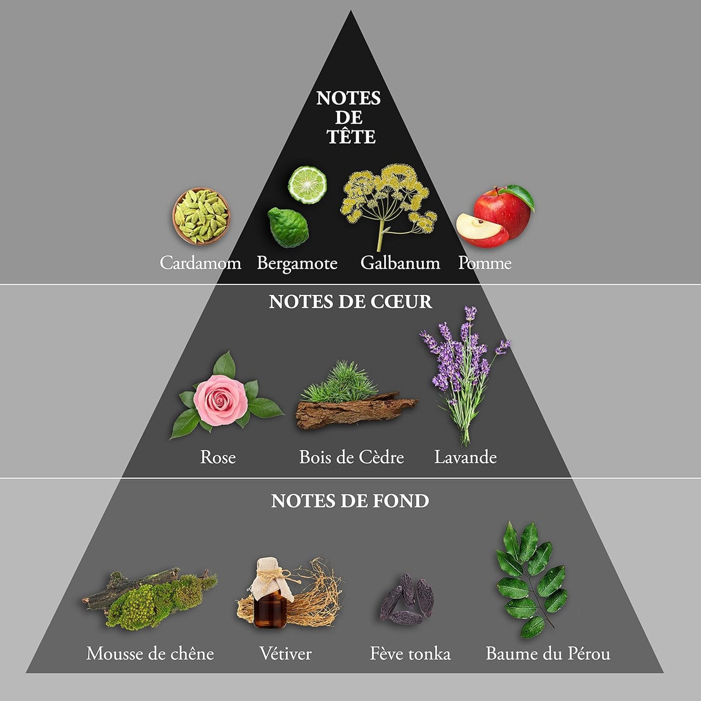 WHISKY RED Eau De Toilette For Men – Passionate And Powerful Scent With Bergamot, Lavender And Vetiver – For The Ambitious And Balanced Man – Made In France By EVAFLORPARIS – 3.4 Fl Oz