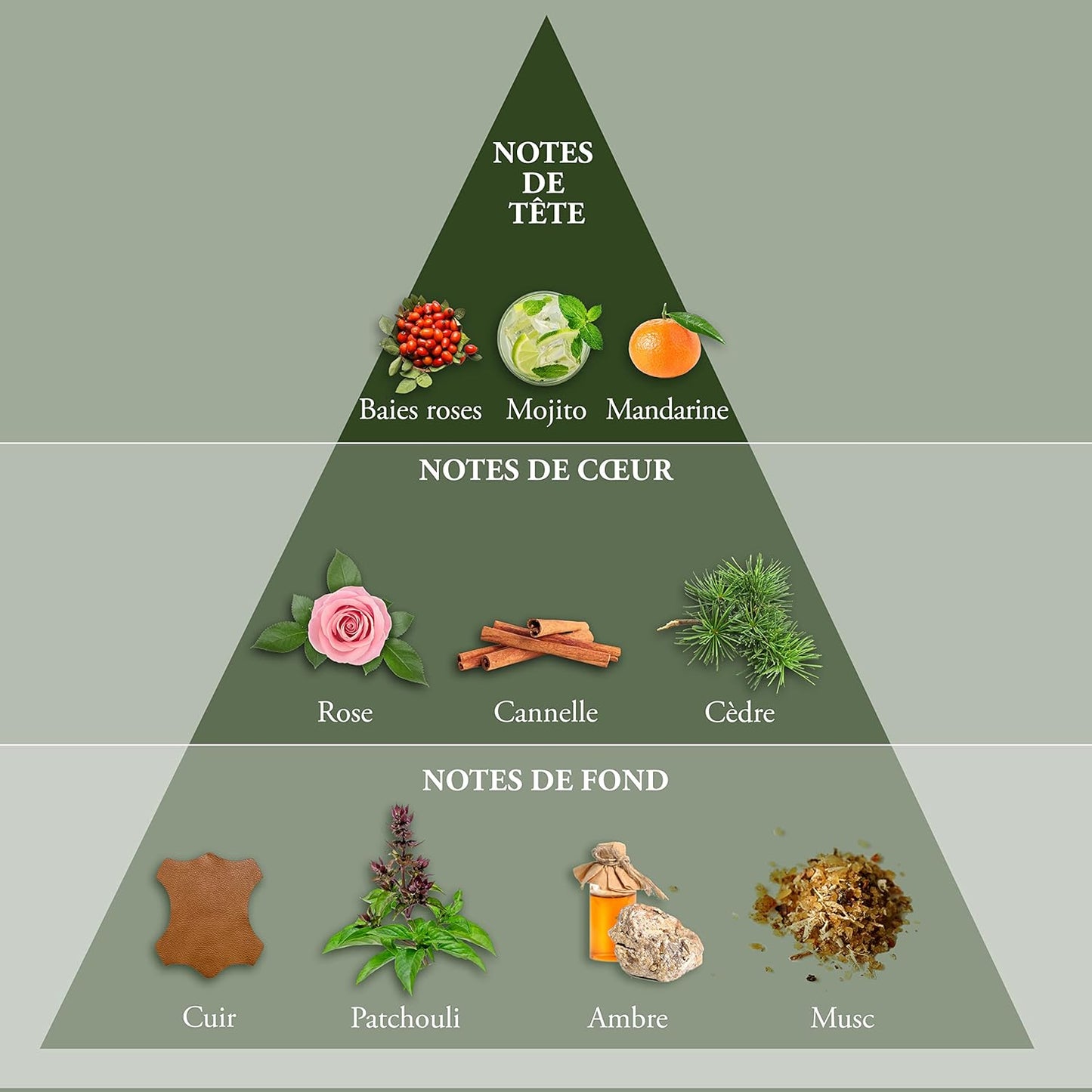 EVAFLORPARIS WHISKY ORIGIN Eau de Toilette for Men – Bold and Timeless Scent – Fresh Citrus and Warm Spices over a Woody Base – Long Lasting Fragrance – Made in France 3.4 Fl Oz