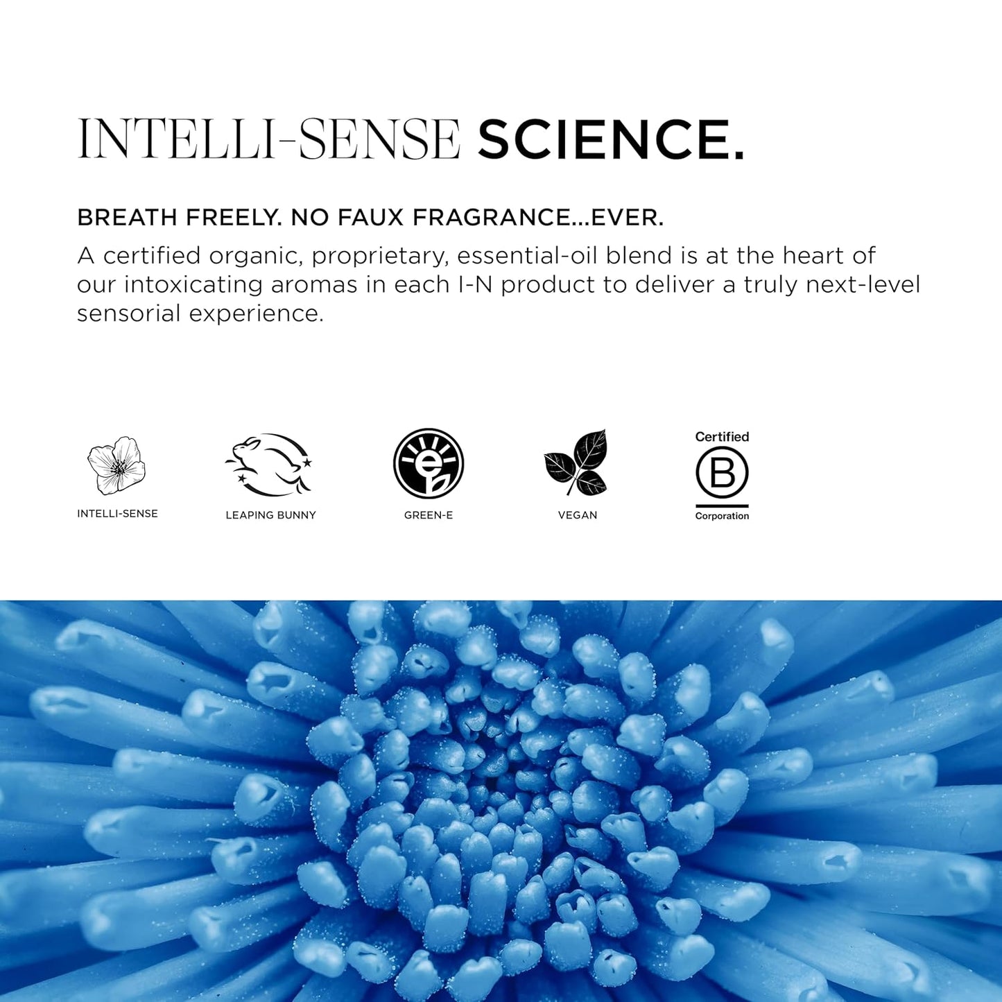 Intelligent Nutrients Amplifi-hair Style & Restyler Spray, Volume Boost and Texture Styling for All Hair Types, Vegan, 5 Oz