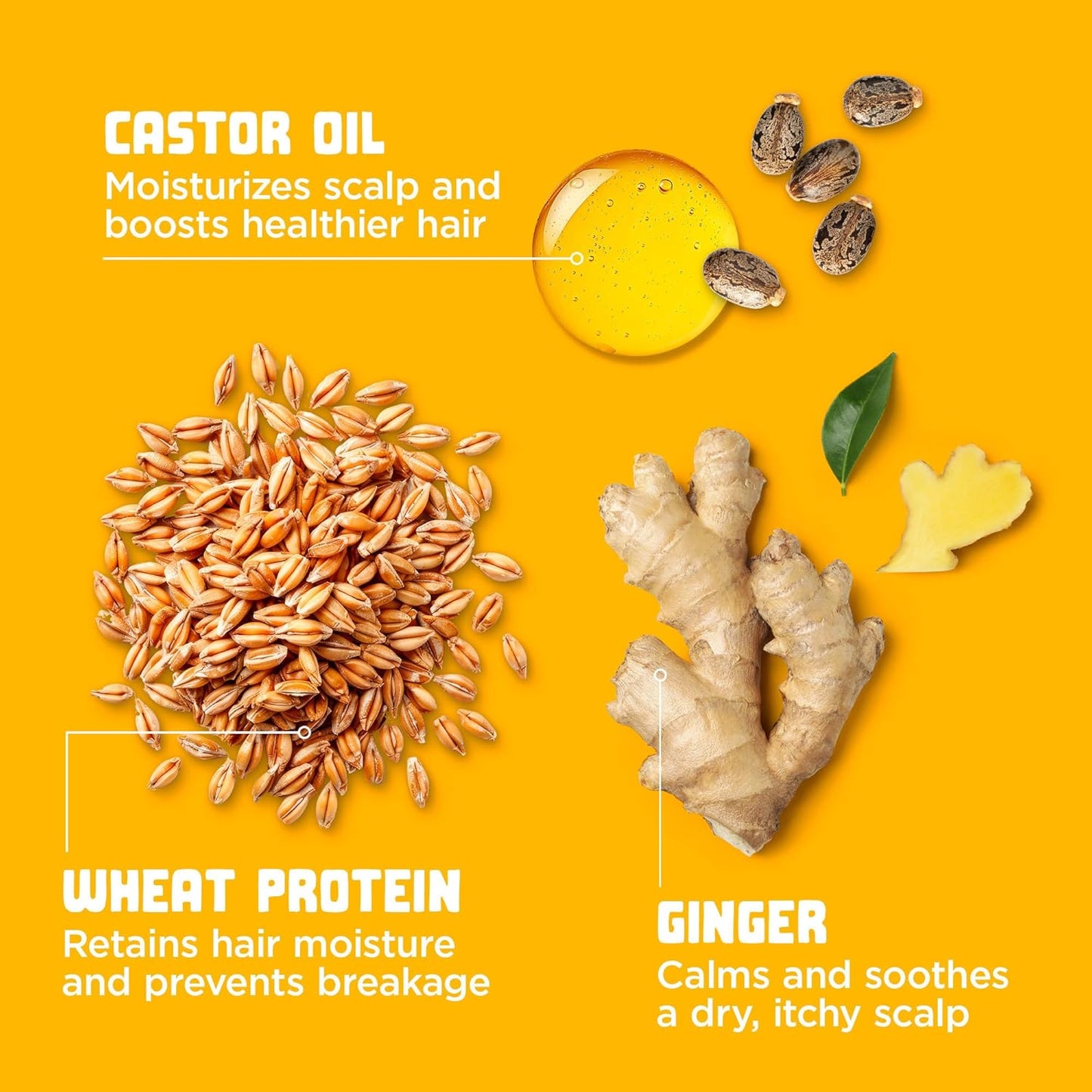 Carol's Daughter Goddess Strength Repairing Cocoon Hydrating Hair Mask for Waves, Coils and Curls, Hair Treatment With Castor Oil, 12 Oz