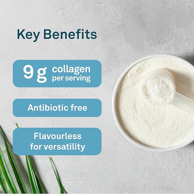 ORGANIKA Enhanced Collagen, 500 GR