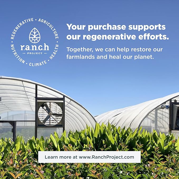 Ancient Nutrition Hydrolyzed Collagen Peptides Powder, Cold Brew Multi Collagen Protein for Women and Men, 40 Servings, Supports Skin and Nails, Gut Health, 17.5 oz