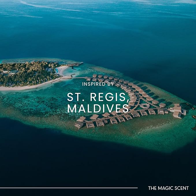 Mandarin Blossom Oils for Diffuser - HVAC, Cold-Air, & Ultrasonic Diffuser Oil, HVAC scents Inspired by St. Regis Hotel, Maldives - Essential Oils for Aromatherapy - 8.5 fl oz, 250 mL