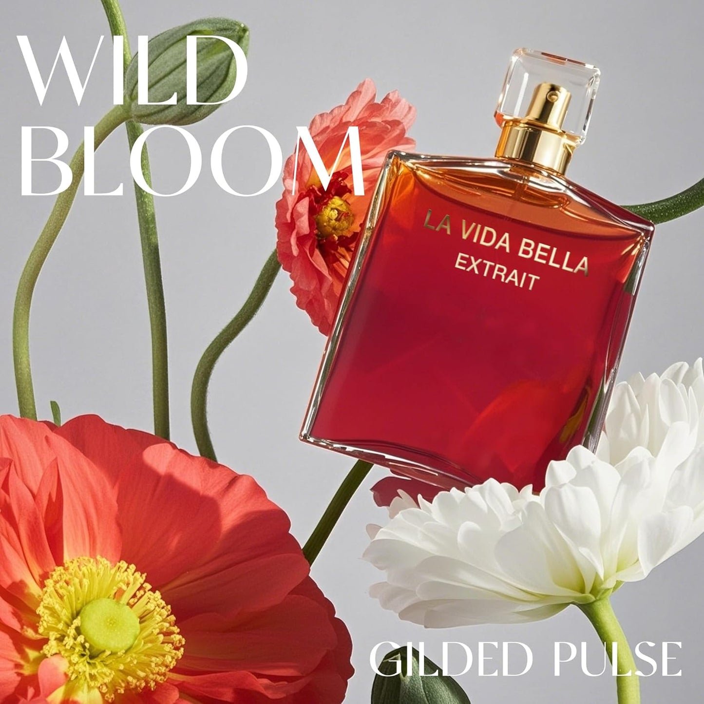 Women's Perfume Set - 2 Pack Eau de Parfum Spray 3.4 Oz Each | Floral Jasmine & Sweet Vanilla with Bergamot & Woody Notes | Long Lasting Original Scent Gift Set for Women (MilaWR&LaviEXT)