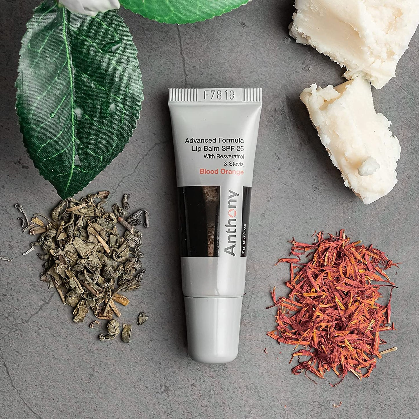 Anthony 25 SPF Lip Balm With Sunscreen - Contains Green Tea Extract, Shea Butter & Vitamin E - Moisturizing Repair Care Treatment for Chapped & Dry Lips 4-Pack