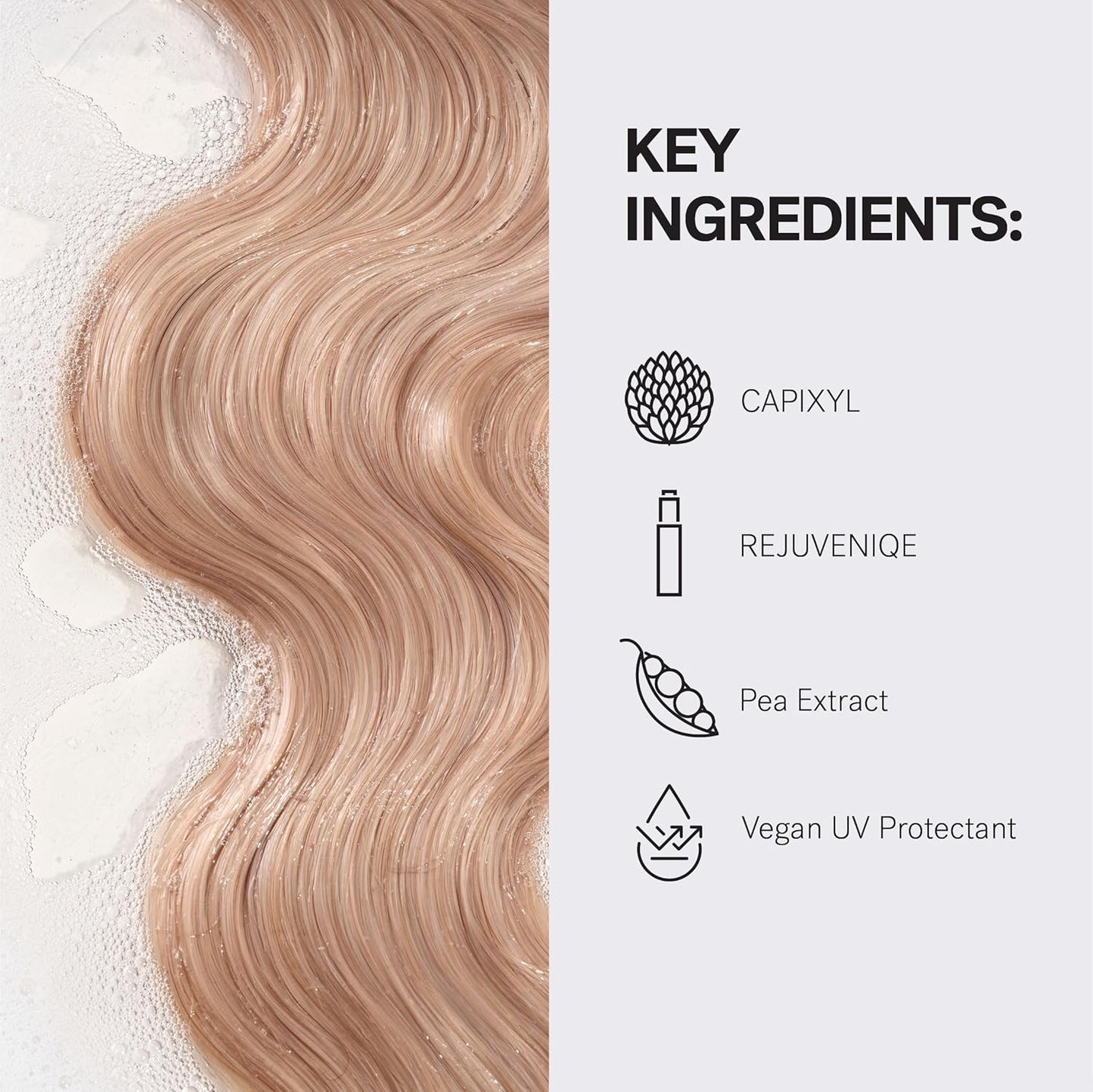 MONAT Renew Shampoo and Conditioner Set Infused with REJUVENIQE For Dry Medium to Thick Hair - Hydrating Hair Care | Sulfate-Free, Paraben-Free | Moisturizing & Nourishing for Healthy Shine