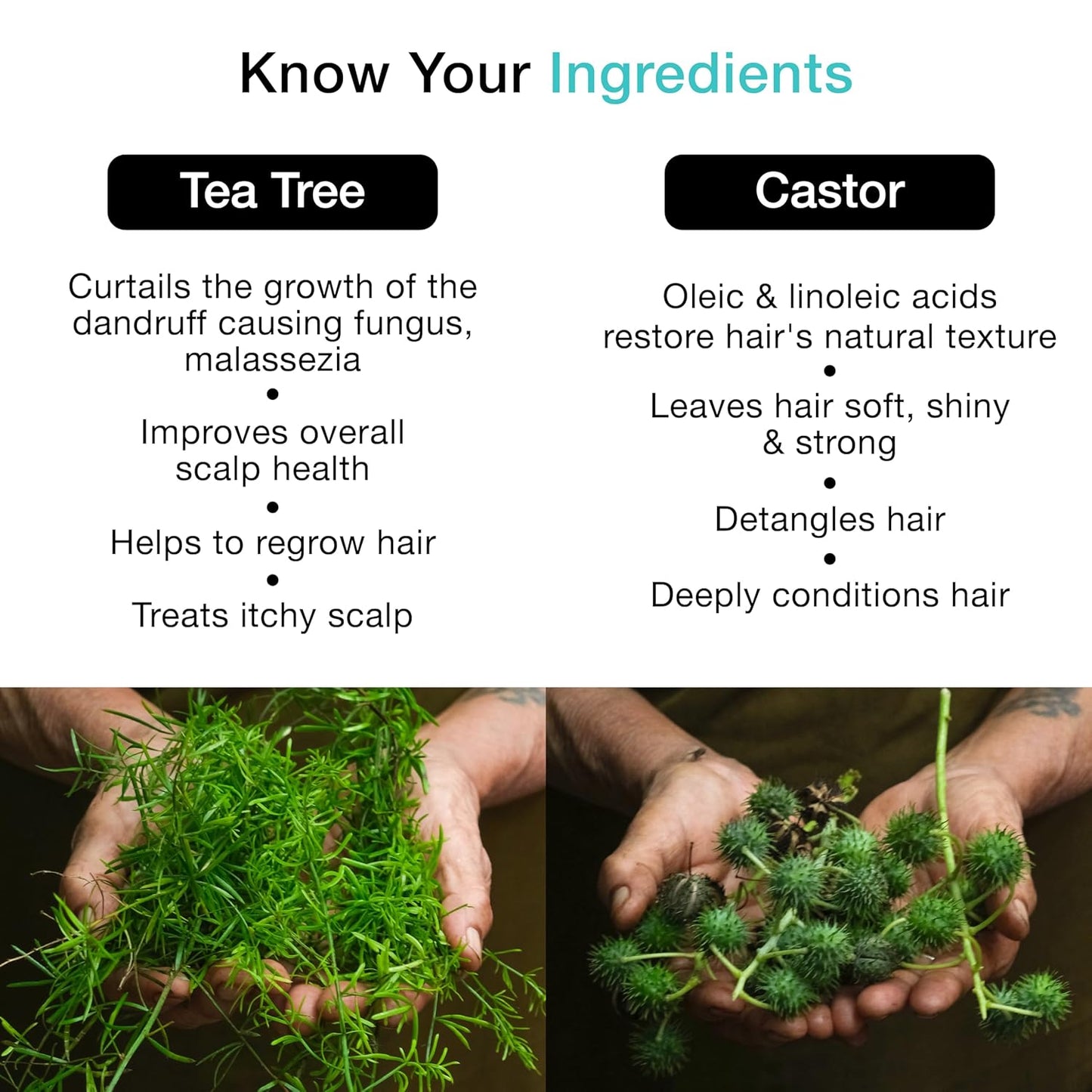 Soulflower Tea Tree Hair Oil for Dandruff & Hair Loss Control, Scalp Treatment - 100% Pure, Organic, Natural, Coldpressed, Vegan - 225 ml