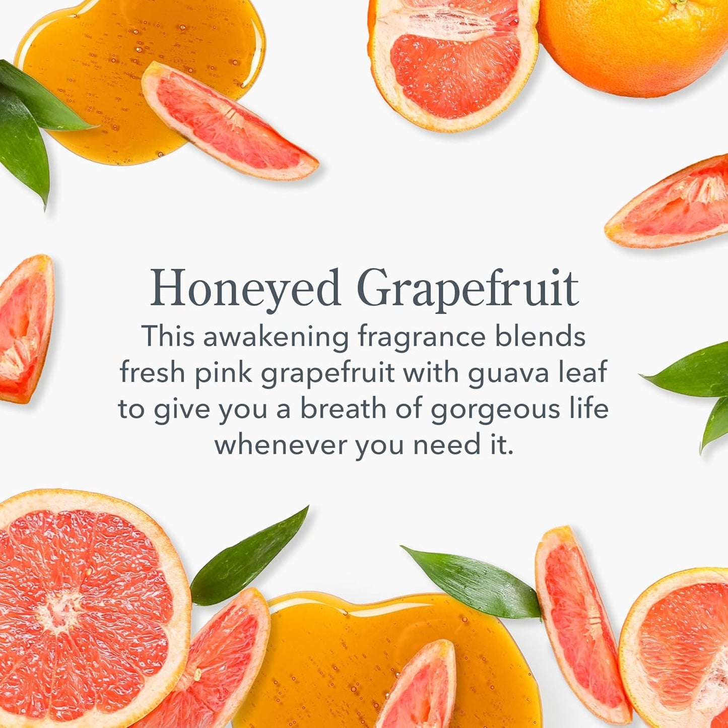 Beekman 1802 Goat Milk Hand Wash, Honeyed Grapefruit - Scented - 12.5 oz - Cleanses, Softens & Nourishes Skin - Rinses Away Impurities - Good for Sensitive Skin - Cruelty Free