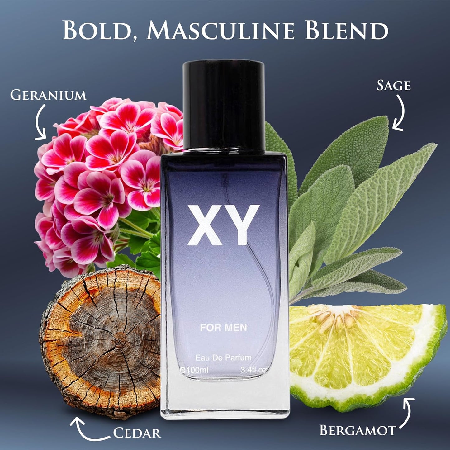 XY for Men - Aromatic Fougere Fragrance - Top Notes of Apple, Ginger & Bergamot Mix with Sage & Juniper Berries - Base Scent of Tonka bean, Amberwood & Olibanum - Elegant 100ml Bottle, Parfume Men