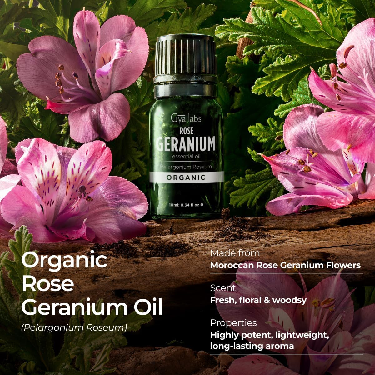 Gya Labs Organic Rose Geranium Essential Oil - 0.34 Fl Oz - for Skin, Hair, Diffuser, Aromatherapy, DIY Candle Making Scents