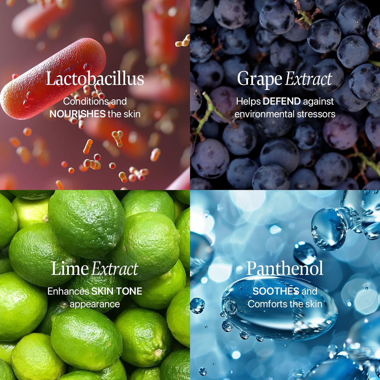 Nature Republic Real Squeeze Aloe Vera Essence -Hydrating Moisturizer & Glow for Face Fast-Absorbing, Non-Sticky After Sun & Aftershave Korean beauty Care for all Skin types Vegan 50ml / 1.69 Fl Oz