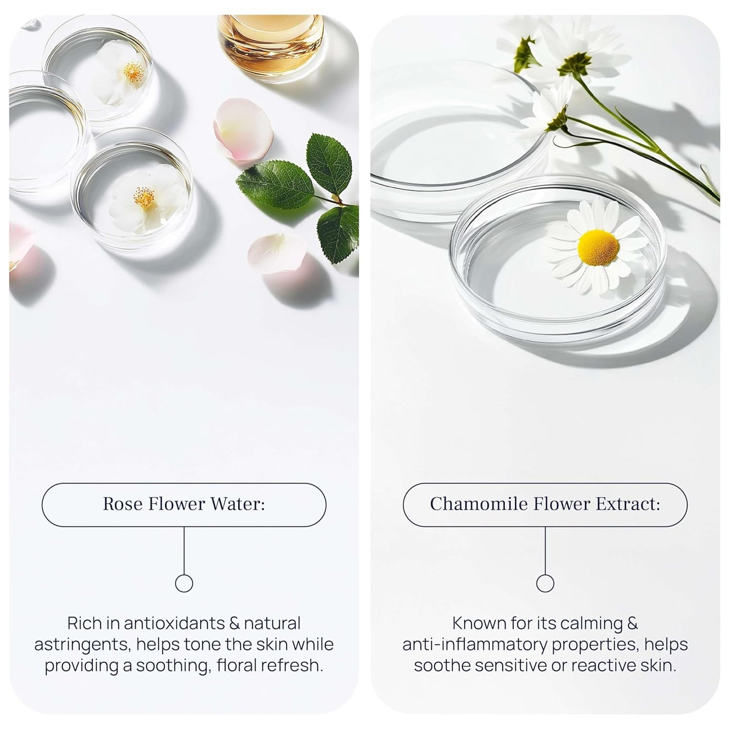 PUREANCE Cleansing Foam - Face Wash for Women - Gentle Foaming Facial Cleanser - Sensitive Skin Facewash - With Calendula, Chamomile, Lactic Acid & More - 5.07 Fl Oz