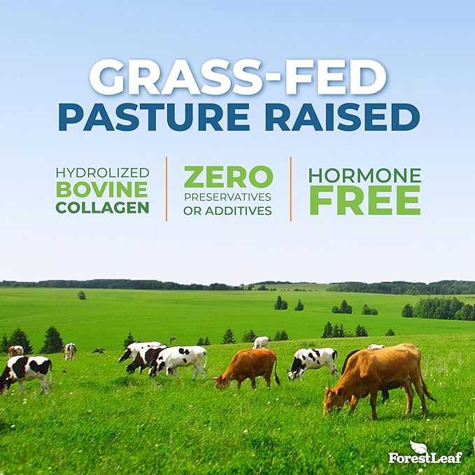 ForestLeaf Multi Collagen Pills with Hyaluronic Acid + Vitamin C | Hydrolyzed Collagen Supplements for Women or Men | Multi Collagen Capsules Peptides for Skin, Wrinkles, 240