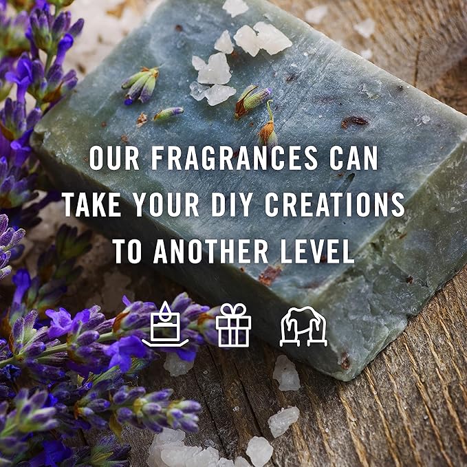 P&J Trading Summer Set of 6 Fragrance Oils - Peach, Strawberry, Plumeria, Coconut, Ocean Breeze, Pina Colada Candle Scents, Soapmaking, Diffuser Oil