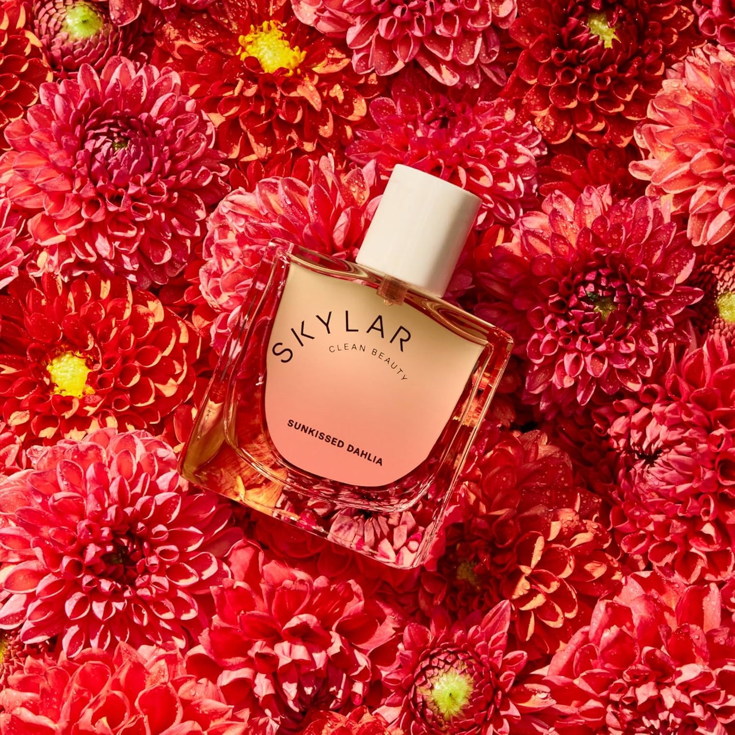 Skylar Sunkissed Dahlia Eau de Parfum - Hypoallergenic & Clean Perfume for Women & Men, Vegan & Safe for Sensitive Skin - Floral Perfume with Notes of Dahlia, Apple & Amber - 50mL /1.7 Fl oz