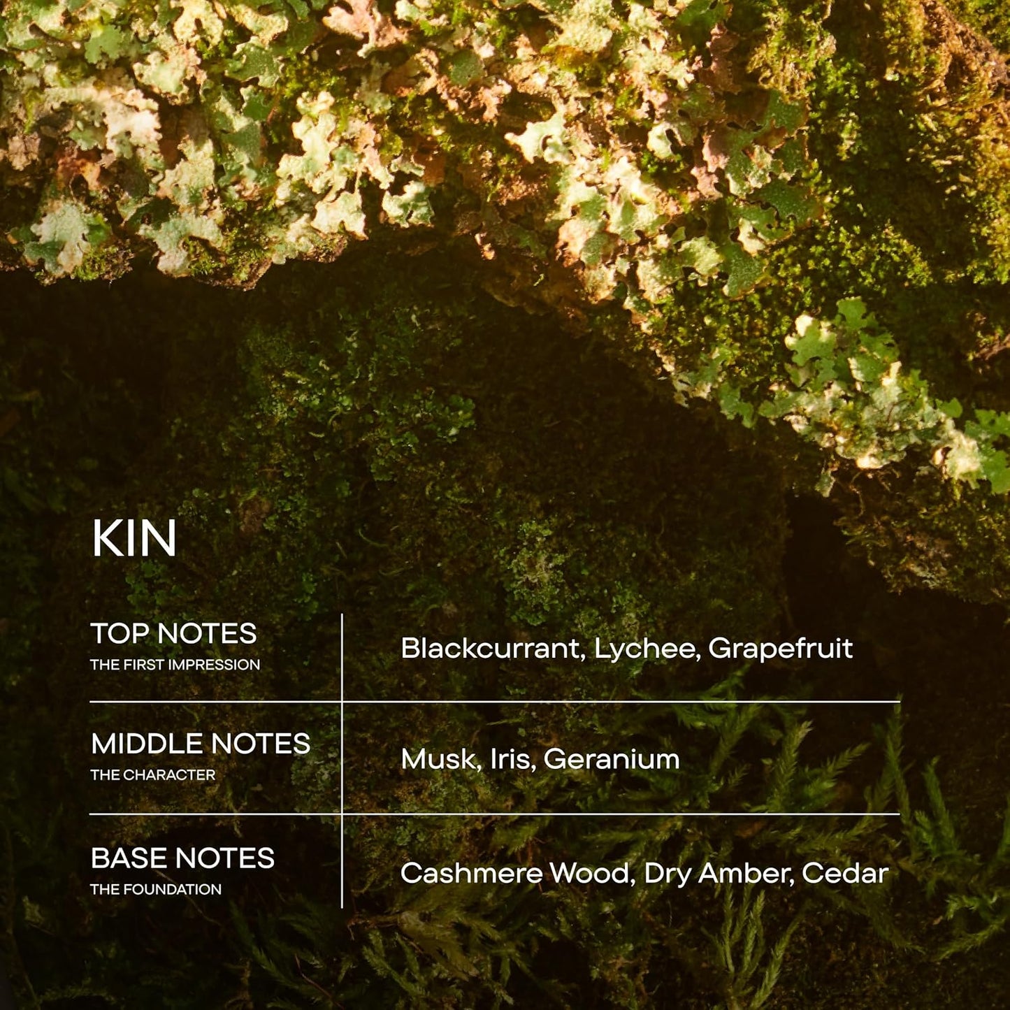 Harry's Kin Men's Cologne - Floral Musk Scent - 1.7 fl oz - Notes of Blackcurrant, Musk & Cashmere Wood - Long-Lasting Eau de Parfum Men's Fragrance