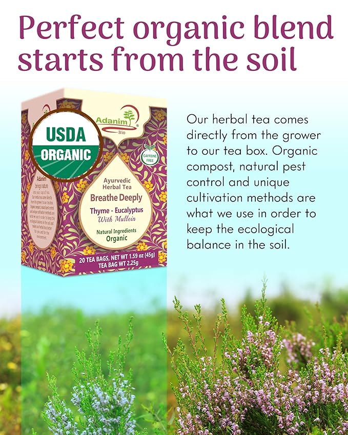 Adanim Bio Eucalyptus Mullein Tea Contains 20 Teabags of Organic Eucalyptus Leaves, Thyme, and Mullein, Providing Health Benefits to the Lungs