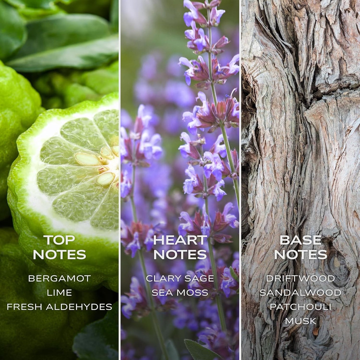 Intelligent Neon Eau de Parfum | Cologne for Men | Abstract, Artistic, Aldehydic | 3.4 Fl Oz (100 mL)