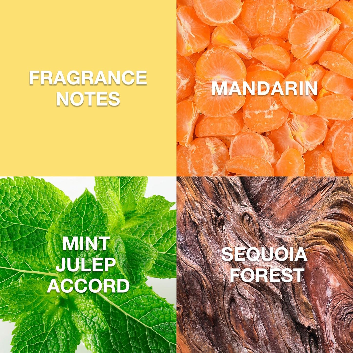 Ed Hardy Cologne, Eau de Toilette Spray For Men, 3.4 fl oz