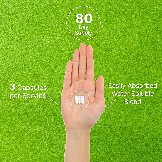 Deal Supplement Hyaluronic Acid Supplements 1,500mg – 240 Capsules, with MSM & Vitamin C – Pure 95% | Non-GMO + Plant Based HA – Supports Healthy Joints, Bones, Connective Tissue, & Skin Hydration